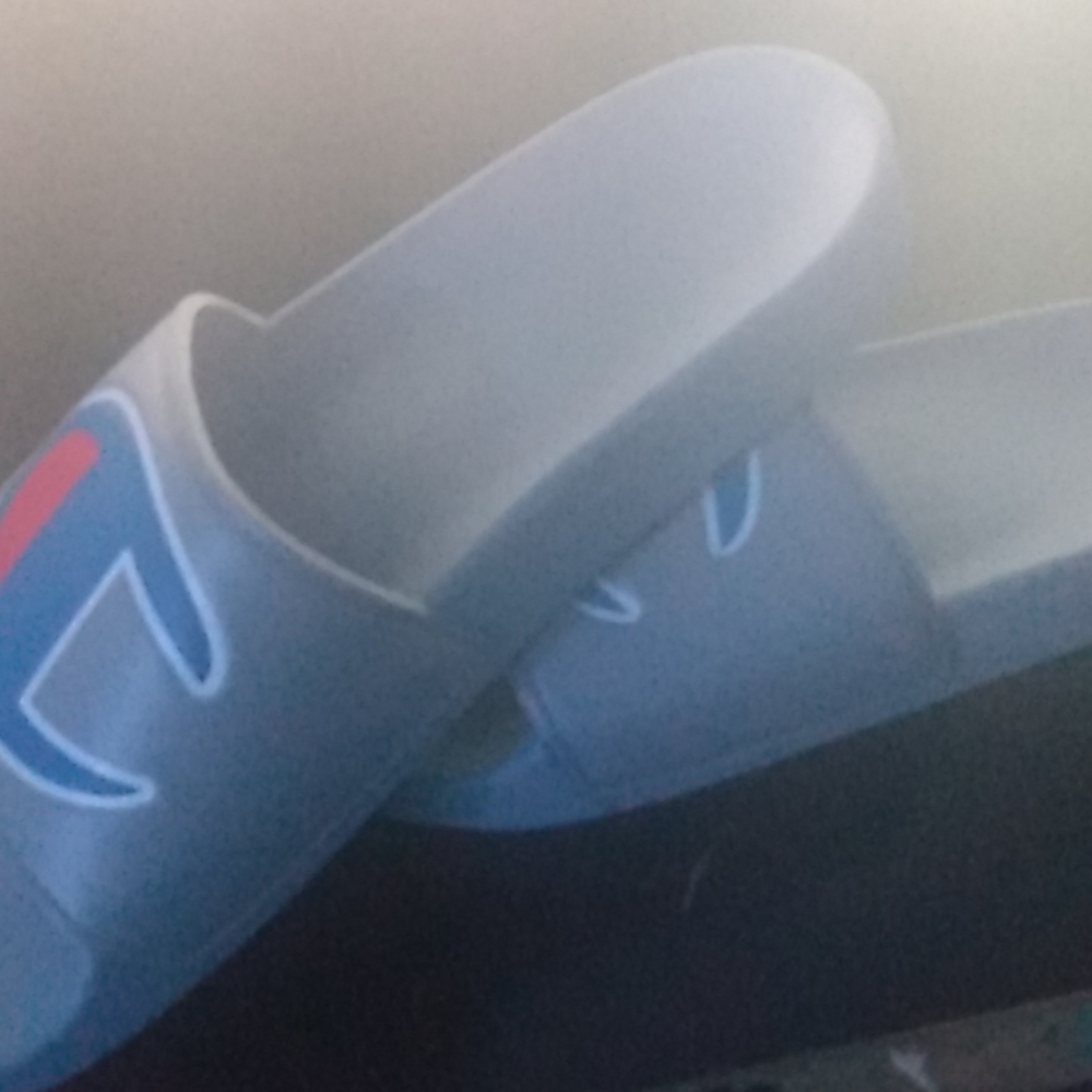 Champion slides